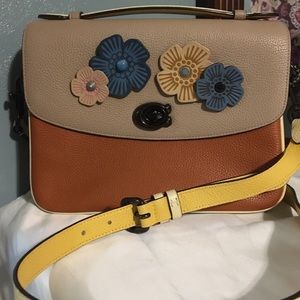 Coach Cassie Colorblock Crossbody Ginger/ Multi Rea Rose